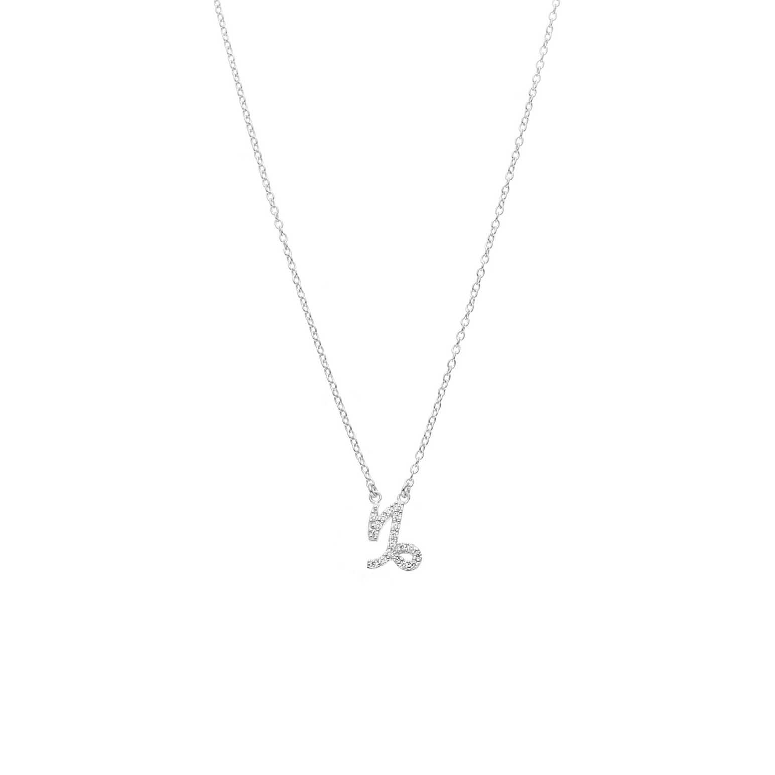 Silk & Steel Capricorn Necklace